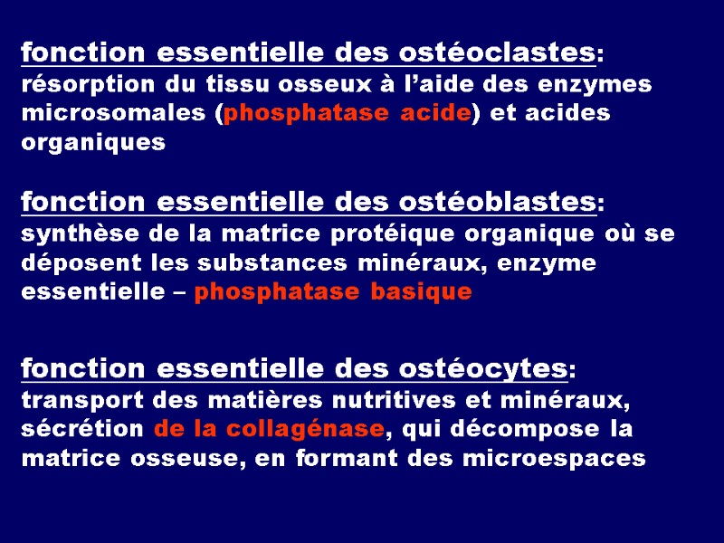 fonction essentielle des ostéoclastes: résorption du tissu osseux à l’aide des enzymes microsomales (phosphatase